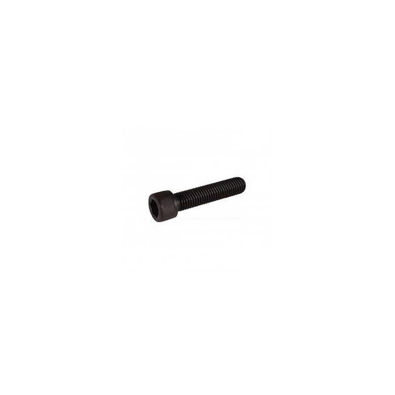 VIS DE COLLIER M8x30mm BLUNT TROTTINETTE