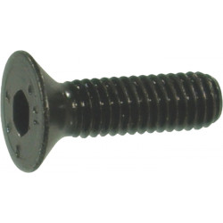 brake mounting bolt x1 for pro scooters