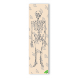 Grip MOB Skateboard Skeleton Clear 9"