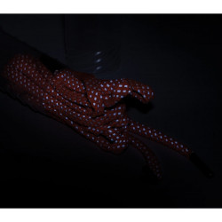 MyFit Fothon Reflective POWERSLIDE Laces