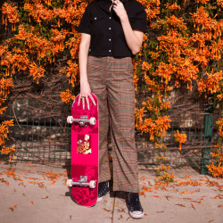 Sakura 8.25" Impala Blossom Complete Skateboard