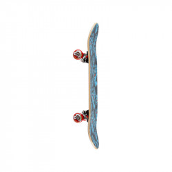Skate Complet Classic Dot 7.25" SANTA CRUZ