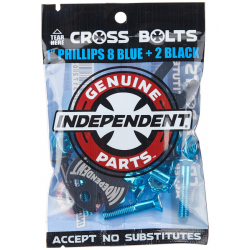 Visserie GP Phillips Black/Blue 1" x8 INDEPENDENT