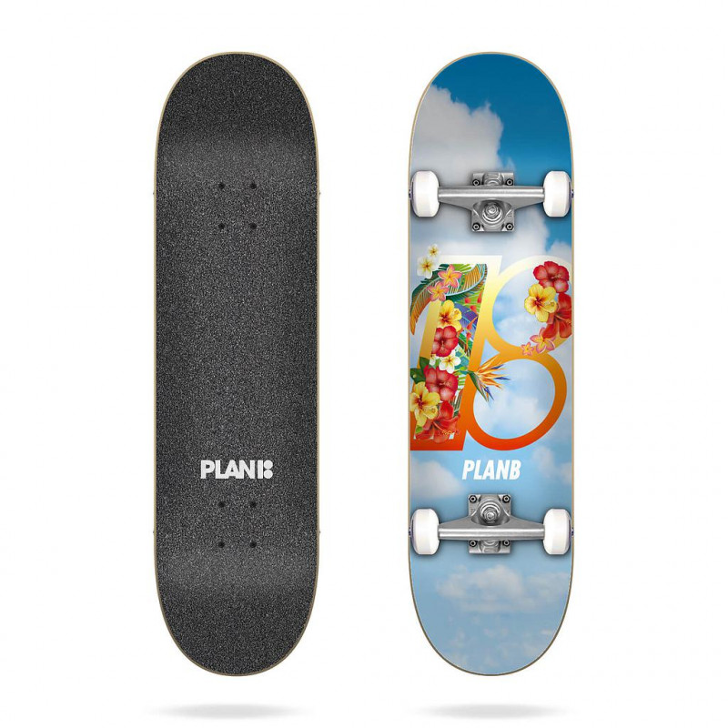 Team Hawai 8.25″ PLAN B Skateboard