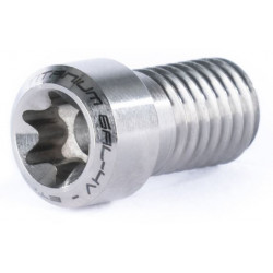 Titanium screws for Ethic clamp