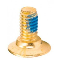 Screw x1 for Abrasive Pad FR Skates