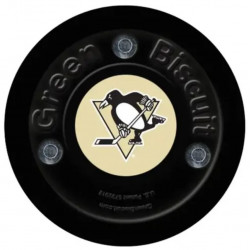 Palet Hockey Green Biscuit NHL
