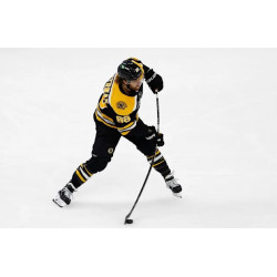 Crosse Bauer Pastrnak Édition Limitée – Junior
