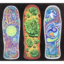 Santa Cruz Winkowski Magnet Set Multi – Lot de 3 Magnets Skateboard