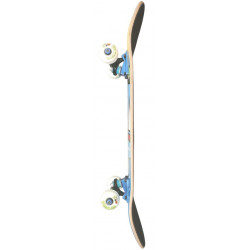 Skate RNCO 7.5" Marseille Complete Skateboard