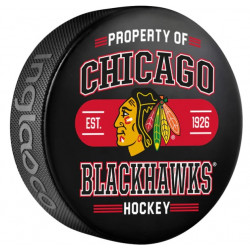 NHL Inglasco Property Of Puck – Official Collector Hockey Puck