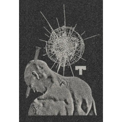 Grip Tilt Puncture – Grip Trottinette Grain Fin