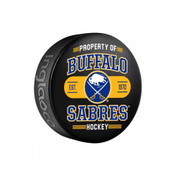 NHL Inglasco Property Of Puck – Official Collector Hockey Puck