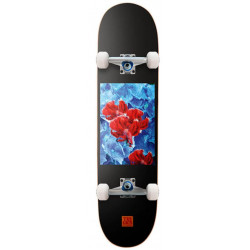 Tricks Betta MAXI Complete Skateboard 8.25" x 31.85" - Street & Park