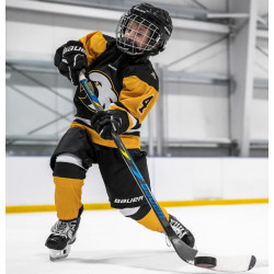 Bauer Supreme Series Flex 10 Youth Hockey Stick