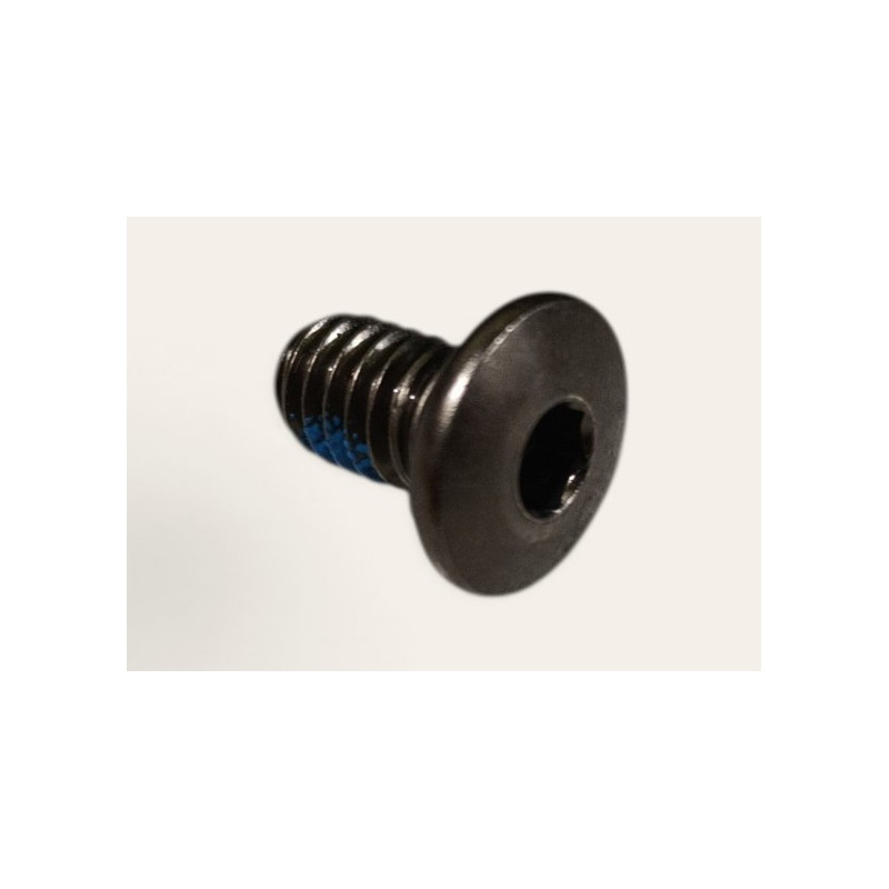 Vis 5/16 pour platine SEBA Trix2 High et Carbon