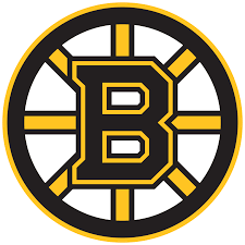 BOSTON BRUINS nhl hockey